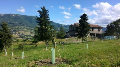 In posizione panoramica da mozzafiato proponiamo casale da ristrutturare con terreno